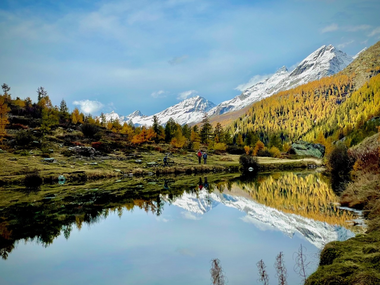 Einfache Gesellschaft Chalet Knylag - Header
